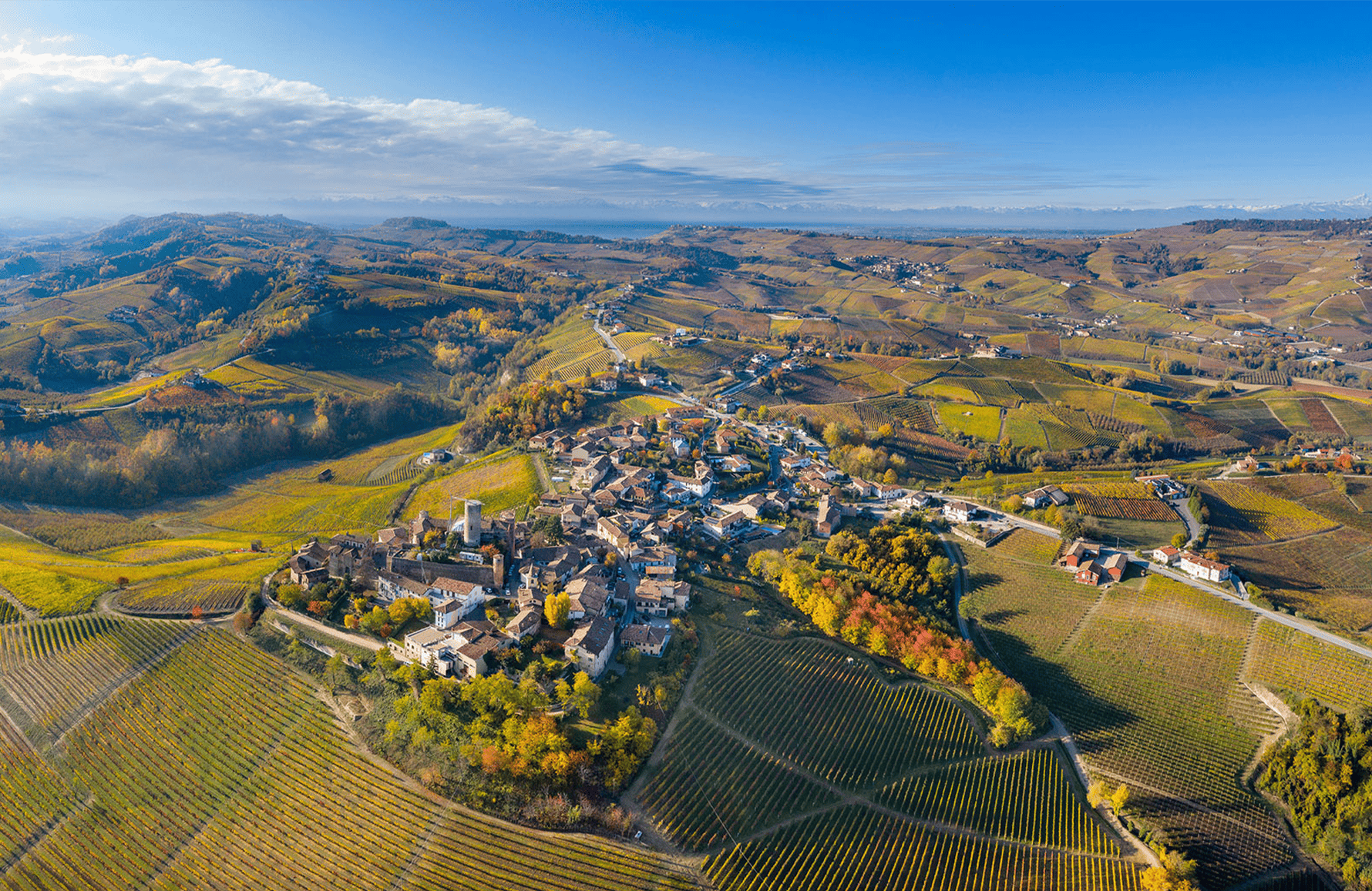 Vietti - Italie