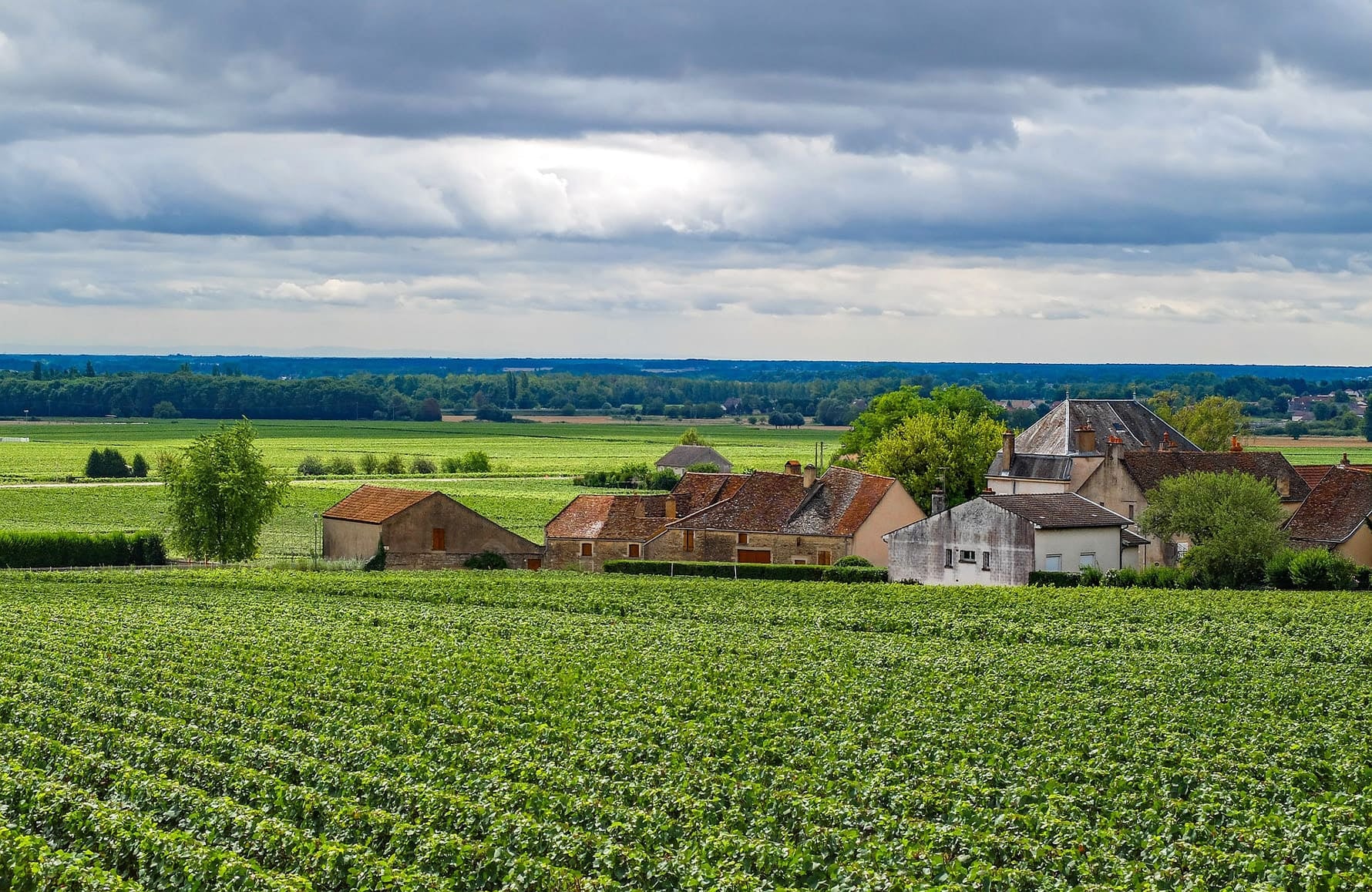 la storia di Domaine Hubert Lignier