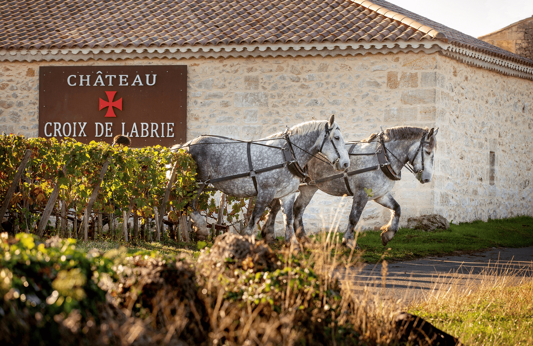 la storia di Château Croix de Labrie
