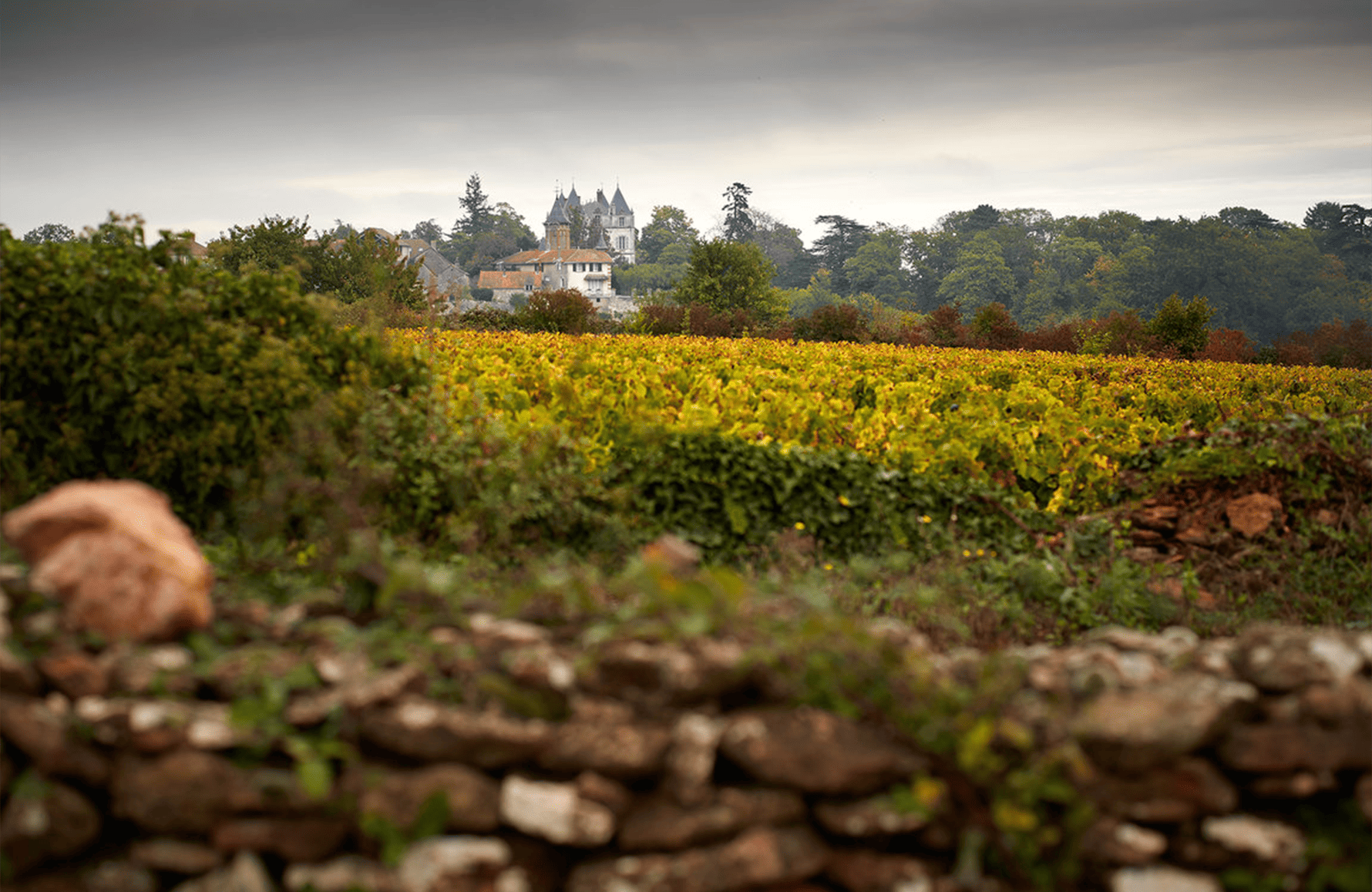 l’histoire du Château de Chamirey