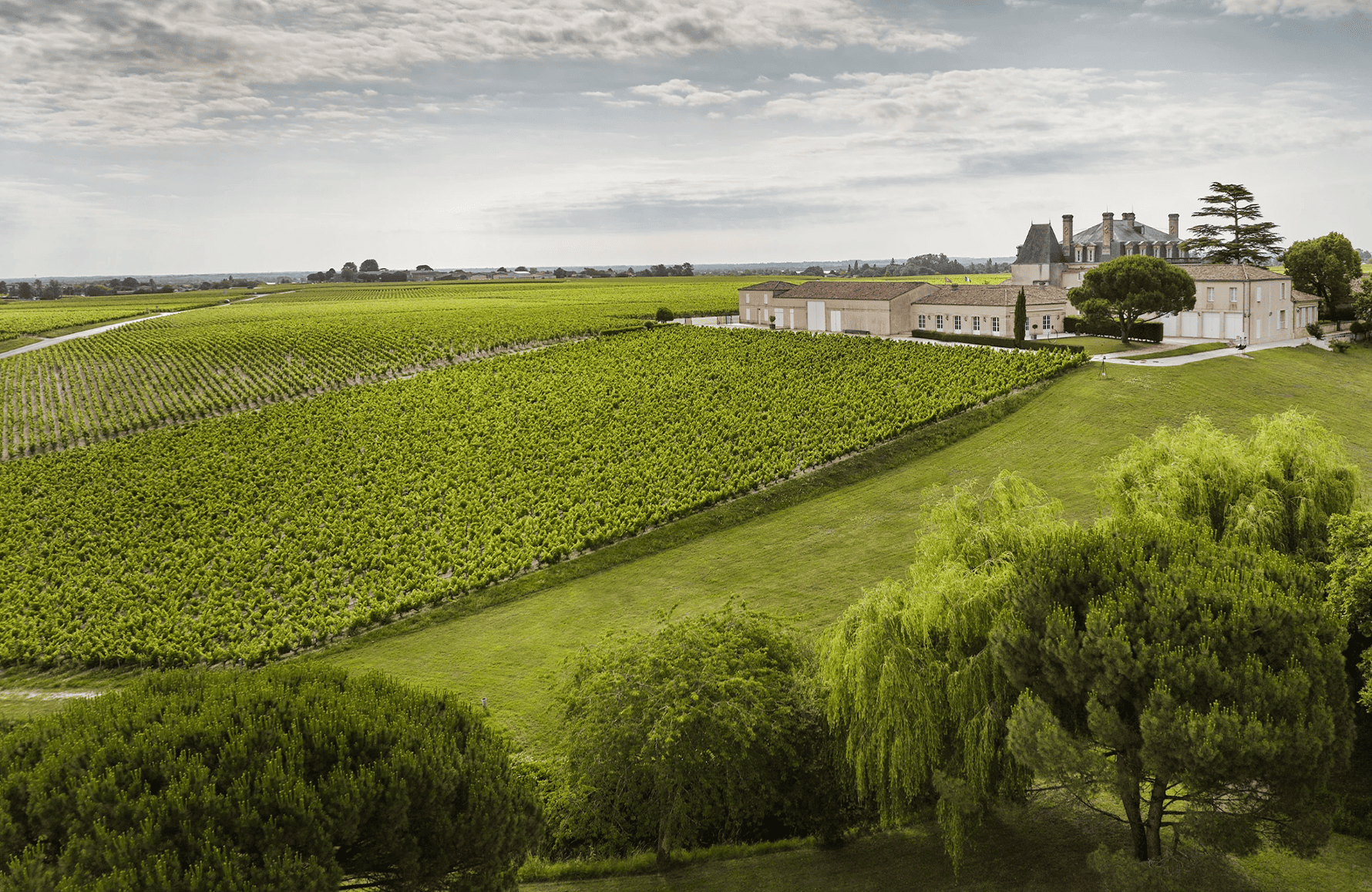 la storia di Château Grand-Puy-Lacoste