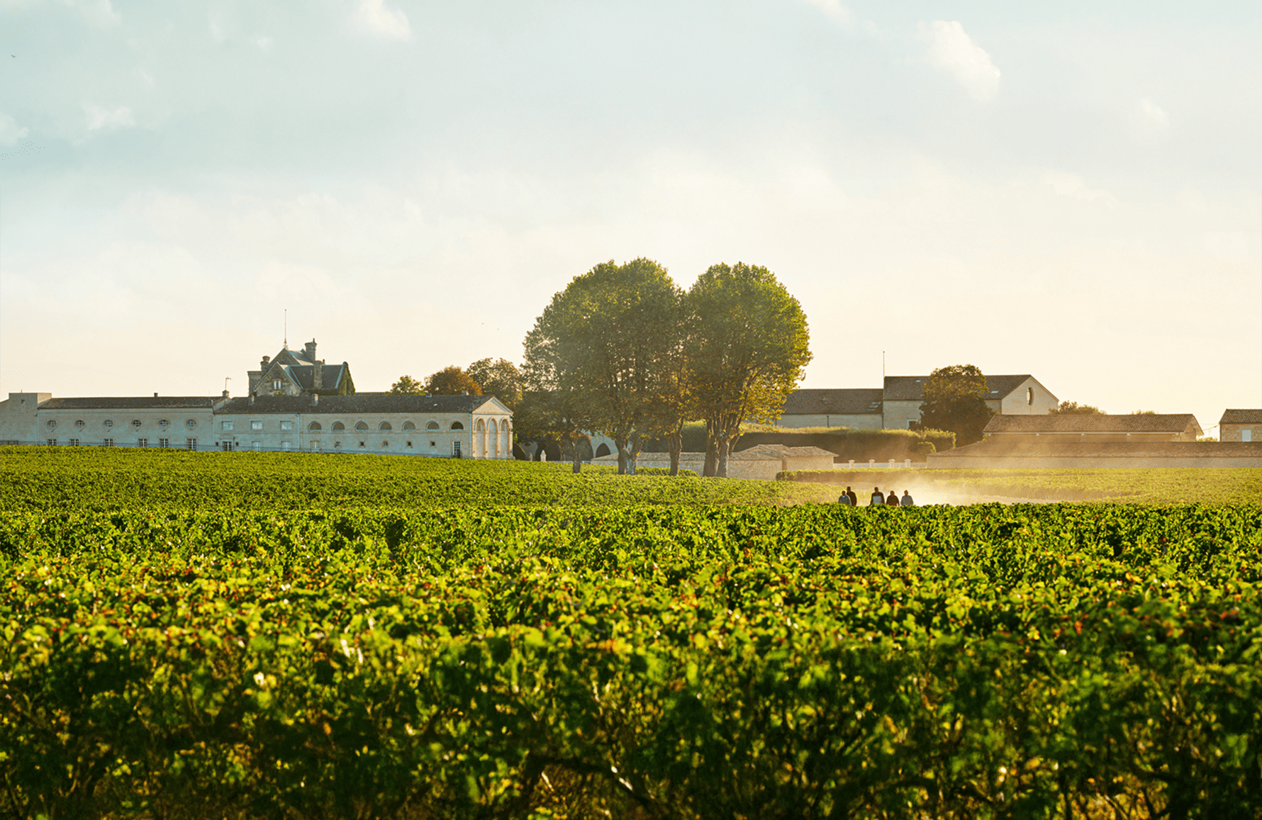 l’histoire du Château Mouton Rothschild