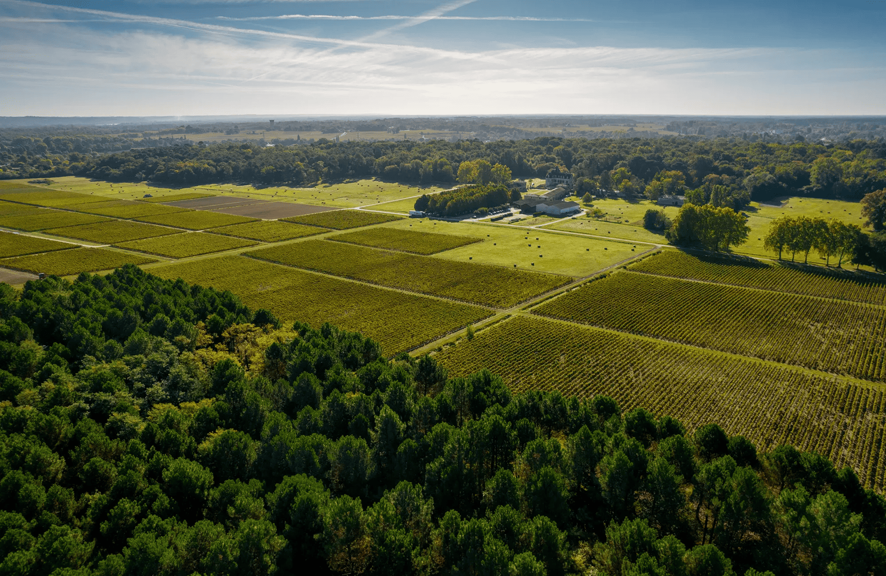 la storia di Château Olivier