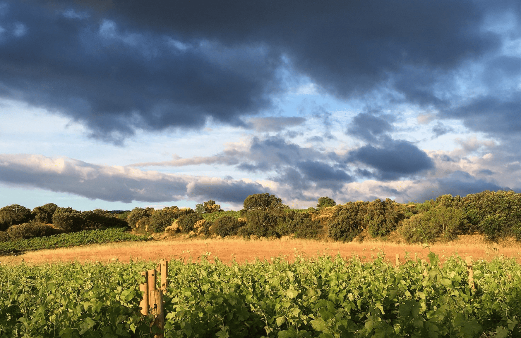 la storia di Domaine Di Clos Fate