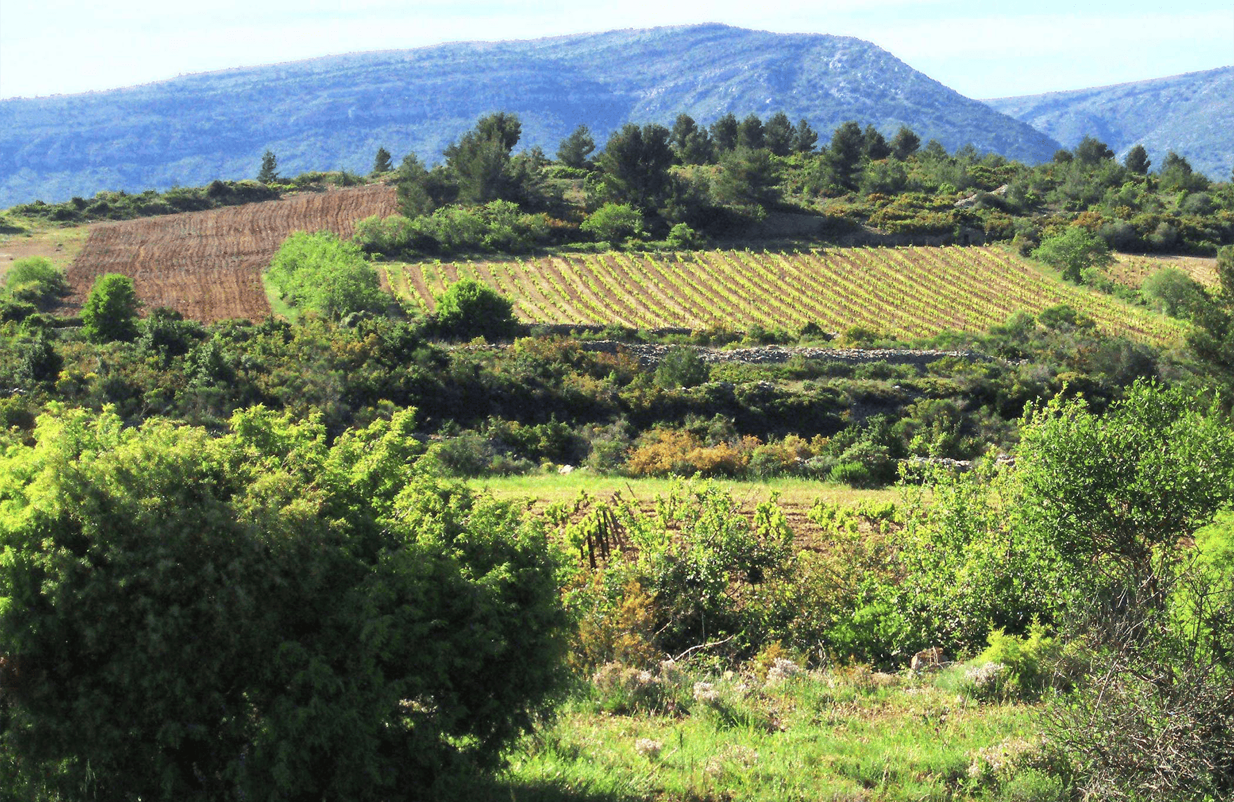 la storia di Clos dell'Anhel