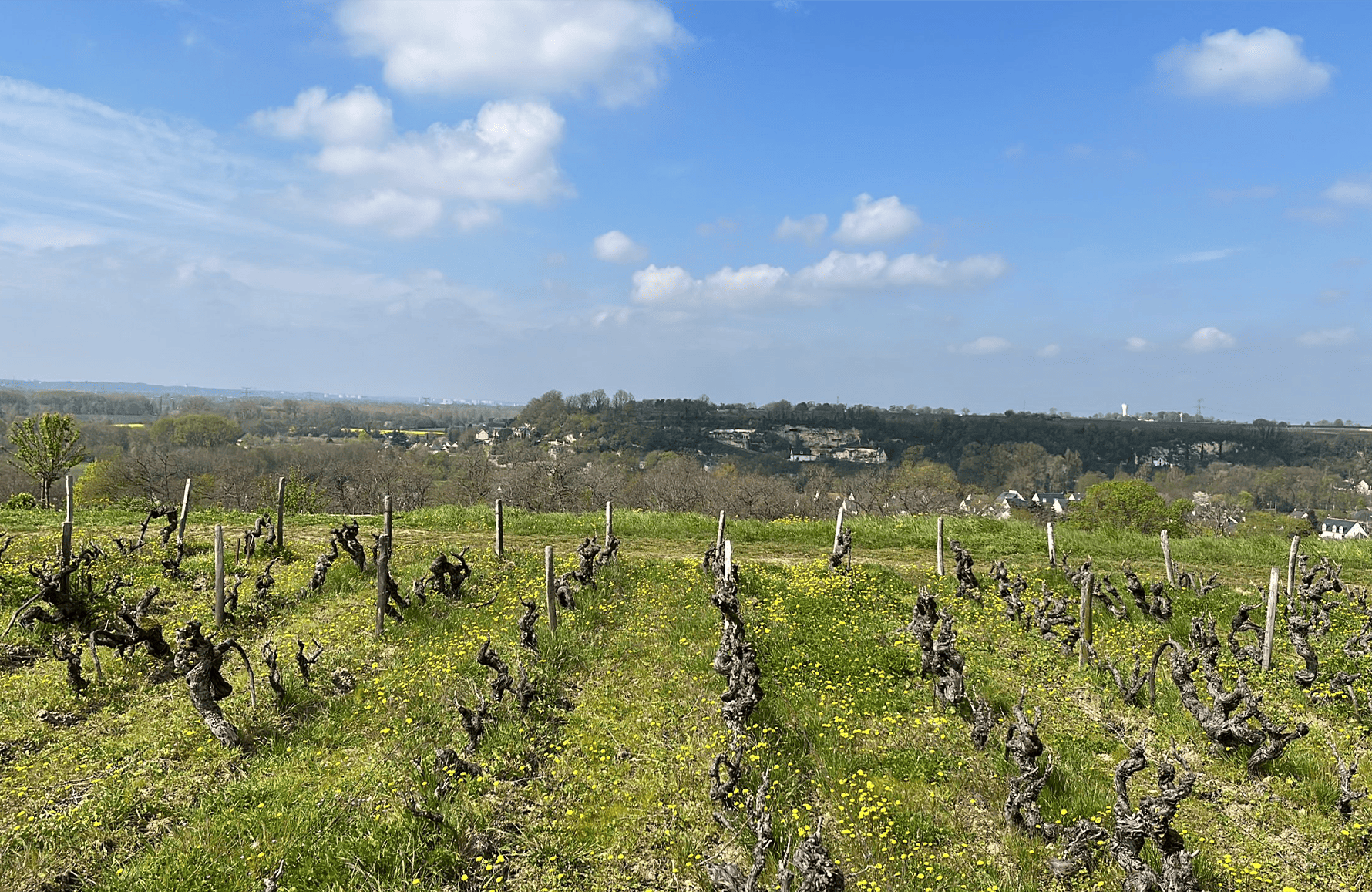 la storia di Clos Thierrière