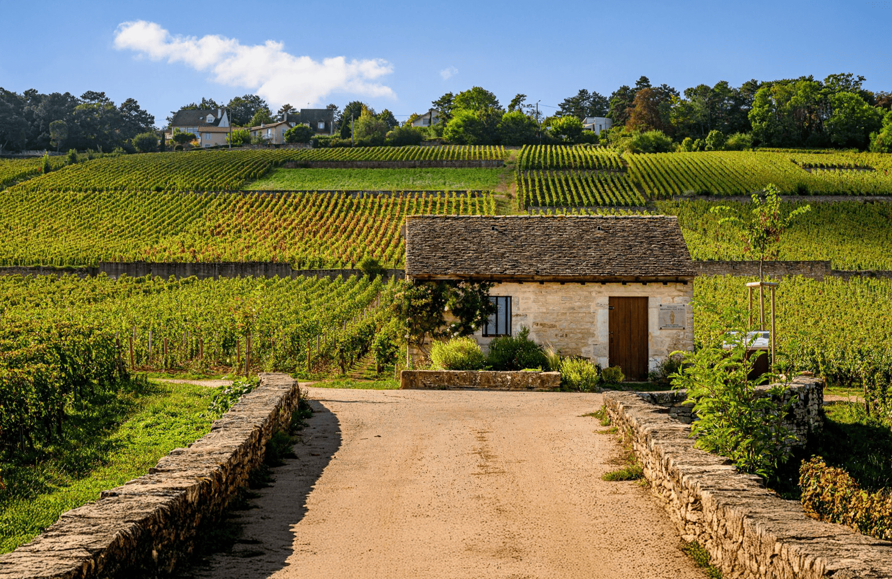 l’histoire du Domaine Bouchard Père et Fils