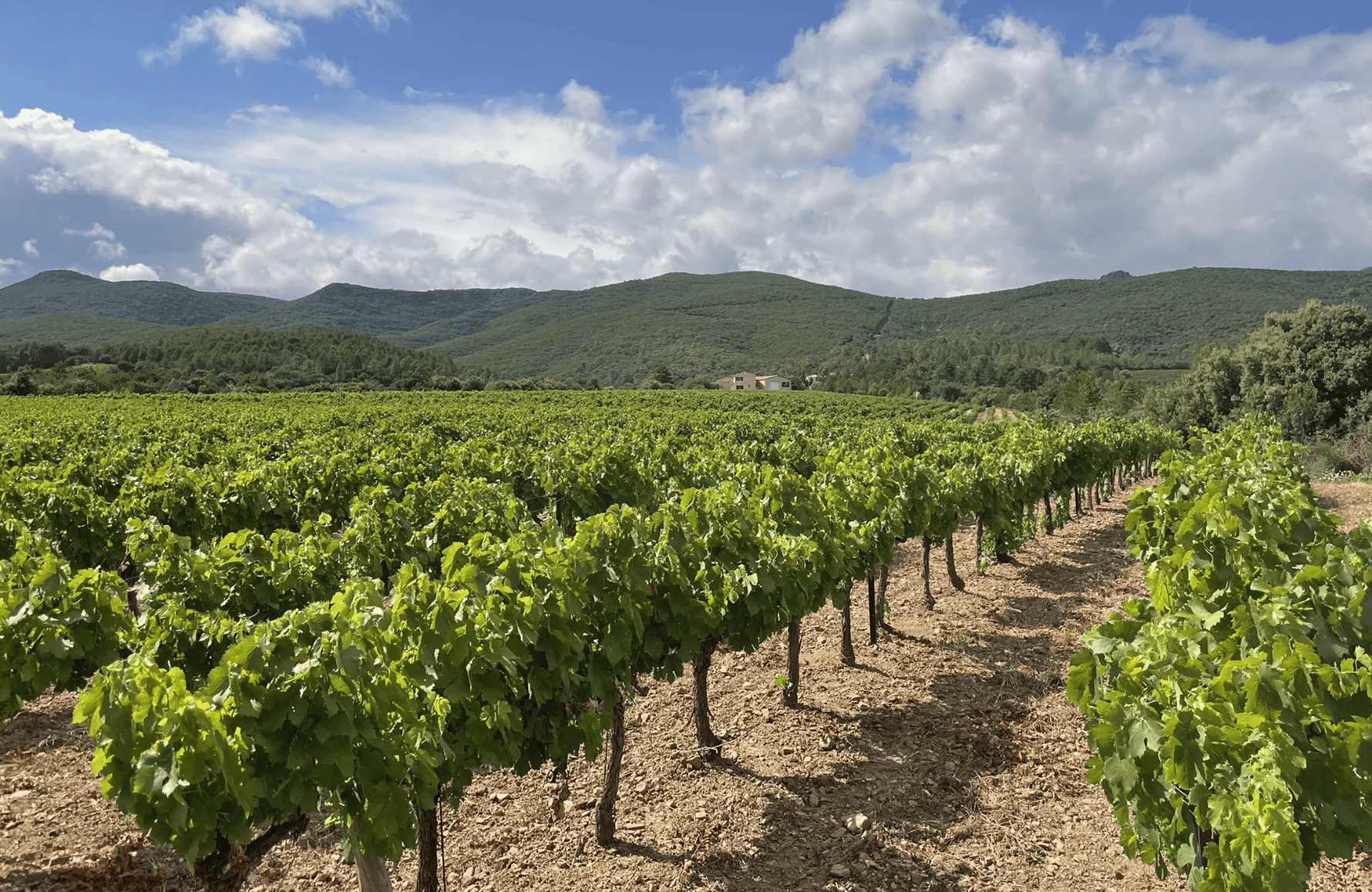 l’histoire du Domaine de L'Orchis Pourpre