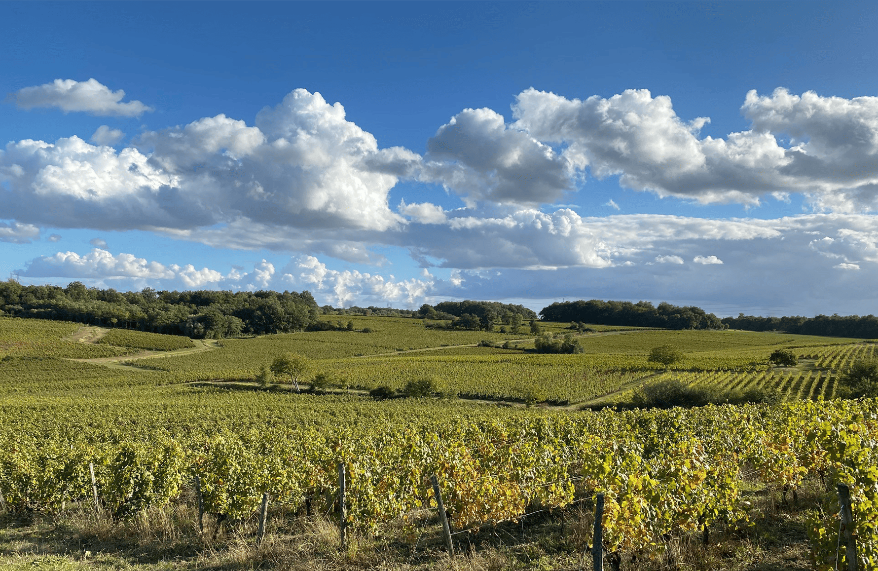 la storia di Domaine degli Enclosers