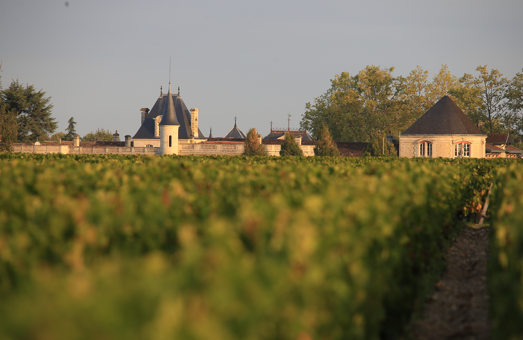 l’histoire du Château Durfort-Vivens