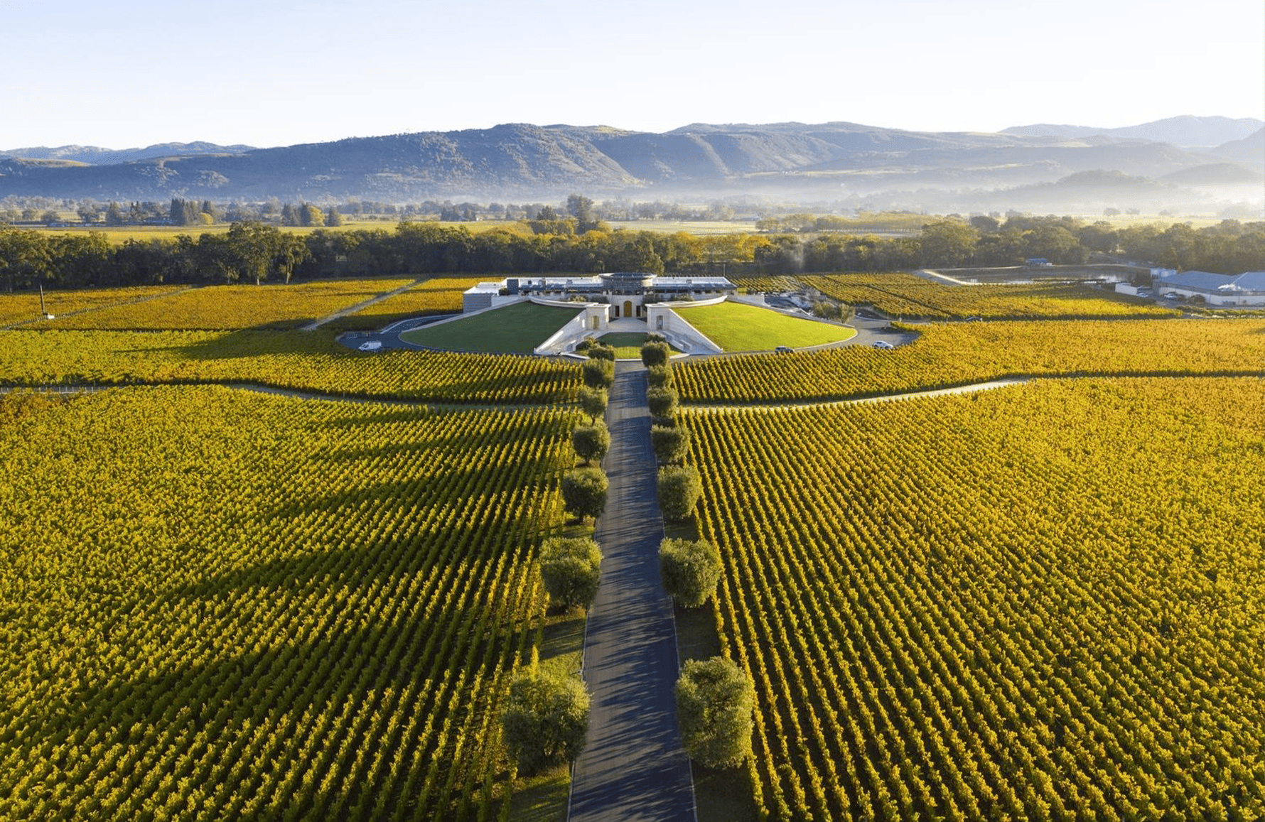 l’histoire du Opus One