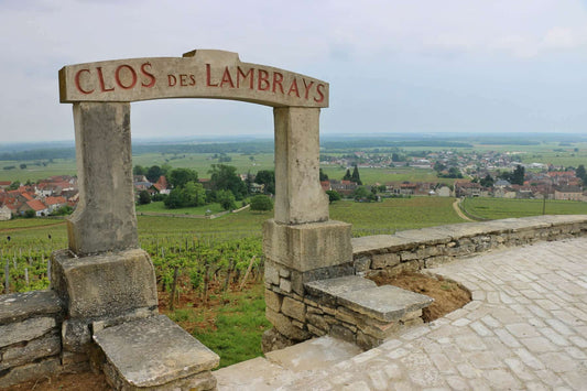 couverture-article-clos-des-lambrays