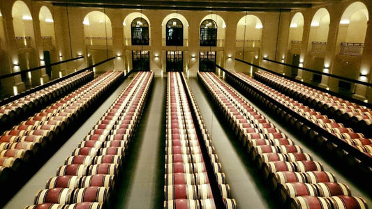 Bordeaux primeurs 2016 : le chai de Château Montrose