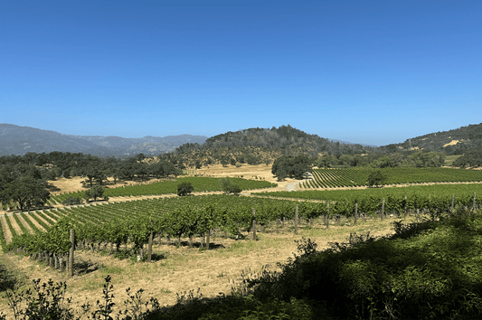 Vignes Californie