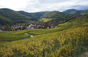 Domaine Zind-Humbrecht