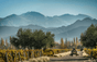 Cheval des Andes - Argentina