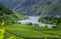 Chermette Estates