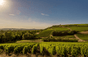 Domaine Jonathan Didier Pabiot