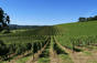 Domaine Cauhapé