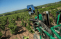 Domaine Paul Janin e figlio