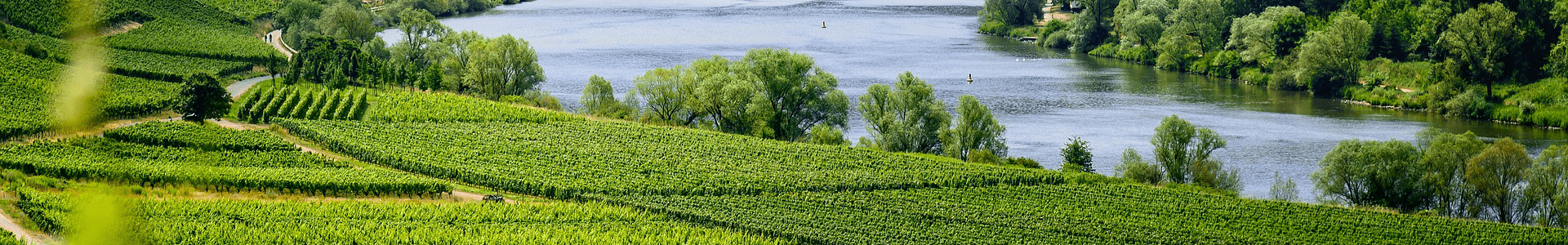 Domaine La Grange Tiphaine
