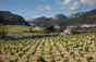 Domaine Di Pas de l'Escalette