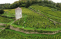 Domaine André e Mireille Tissot