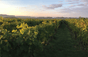 Domaine del Roches Neuves