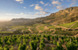 Klein Constantia - Afrique du Sud