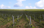 Domaine Philippe Gilbert