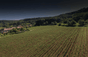 Domaine Di Pélican