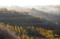 Domaine Baumard