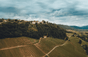 Domaine Berthet-Bondet