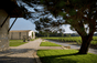Domaine Di Chevalier