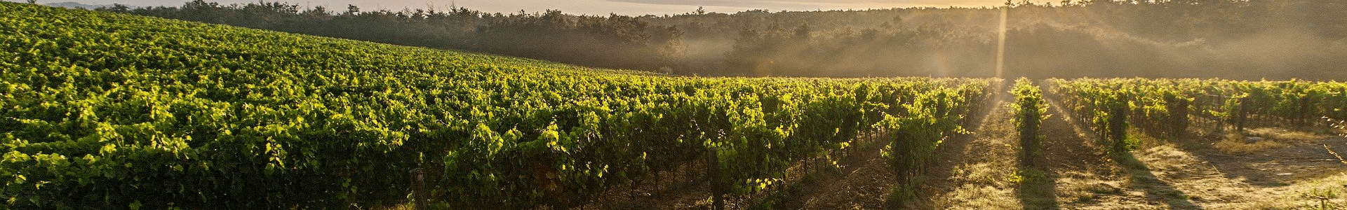 Clos Puy Arnaud