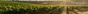 Clos Puy Arnaud