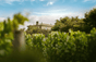 Château di Fonbel