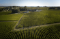 Château Pavie Macquin