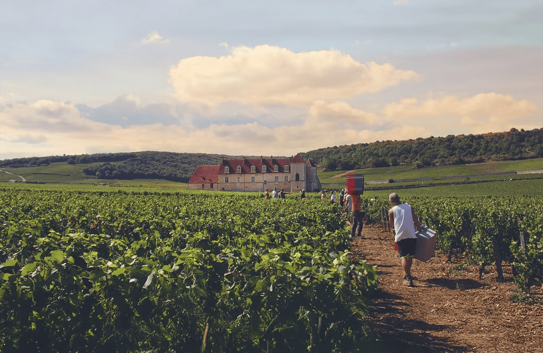 Domaine Bertagna