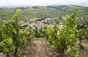Domaine Roberto Denogent