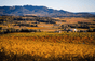 Domaine bevanda