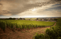 Clos di crostata