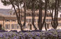Château d'Esclans