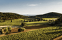 Domaine di Terrebrune