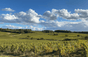 Domaine degli Enclosers