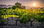 Domaine Il sangue dei ciottoli