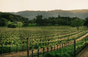 Joseph Phelps Vineyards - Stati Uniti