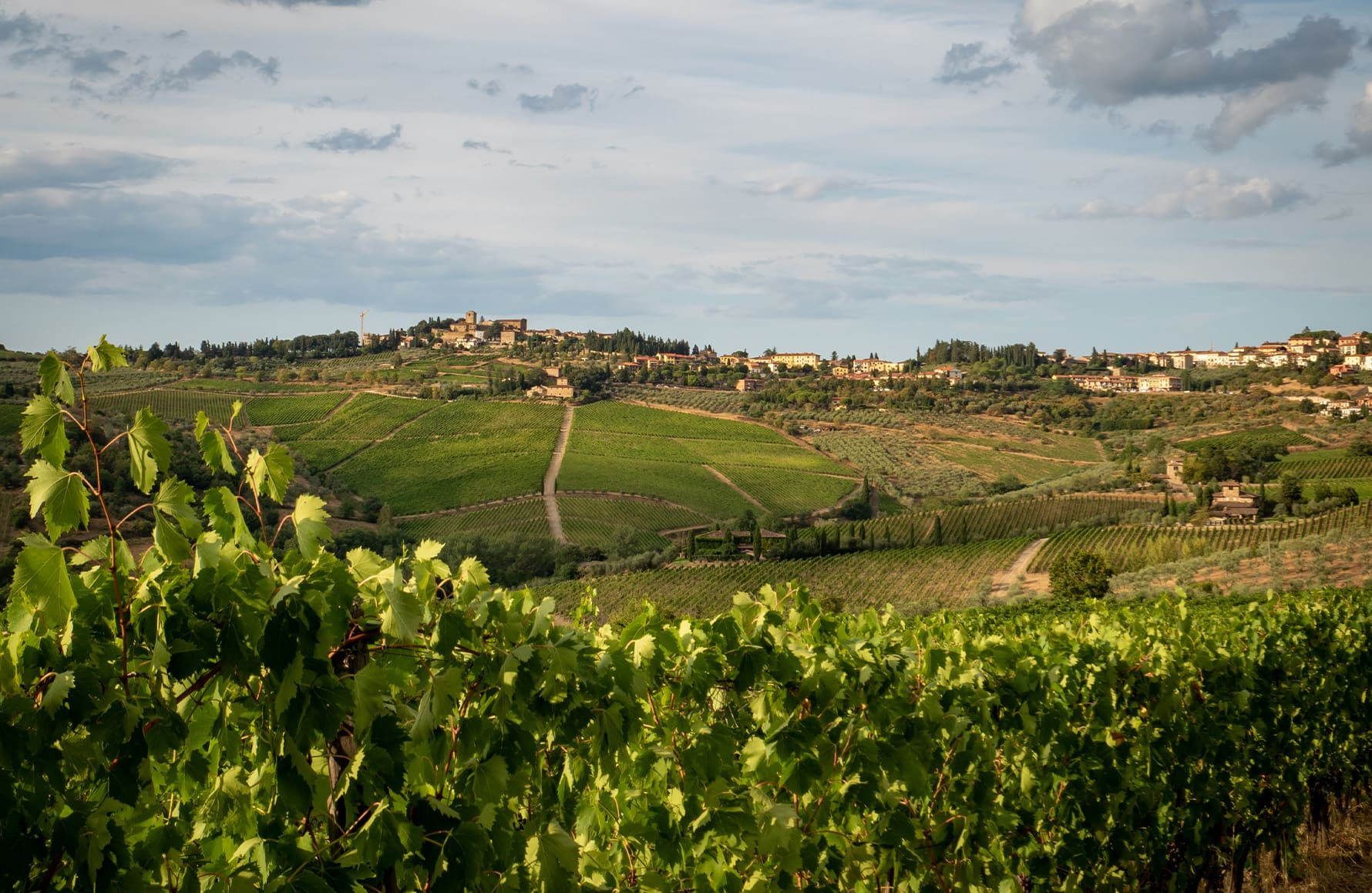 Argiano - Italie