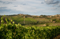 Antinori - Italia