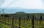 Poggio Antico - Italia